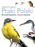 Poradniki: Ptaki Polski. Encyklopedia ilustrowana - ebook