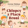 Dla dzieci i młodzieży: Chłopcy z Placu Broni - audiobook