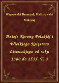 Dzieje Korony Polskiéj i Wielkiego Księstwa Litewskiego od roku 1380 do 1535. T. 3 - ebook