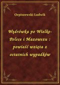 Wędrówka po Wielko-Polsce i Mazowszu : powieść wzięta z ostatnich wypadków - ebook