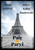 Palę Paryż - ebook
