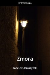 : Zmora - ebook
