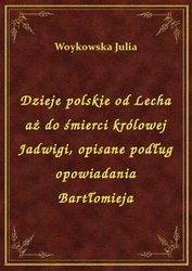 : Dzieje polskie od Lecha aż do śmierci królowej Jadwigi, opisane podług opowiadania Bartłomieja - ebook