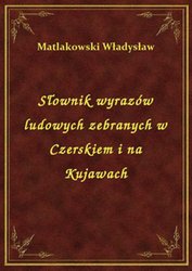 : Słownik wyrazów ludowych zebranych w Czerskiem i na Kujawach - ebook