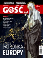 : Gość Niedzielny - Krakowski - e-wydanie – 17/2020